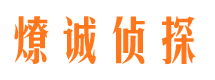 向阳市调查公司